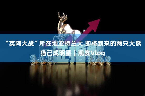 “英阿大战”所在地亚特兰大 即将到来的两只大熊猫已成明星｜观赛Vlog