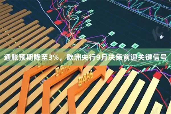 通胀预期降至3%，欧洲央行9月决策前迎关键信号