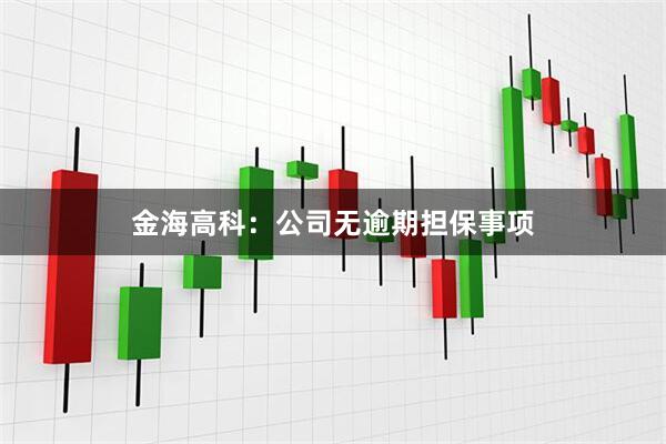 金海高科：公司无逾期担保事项